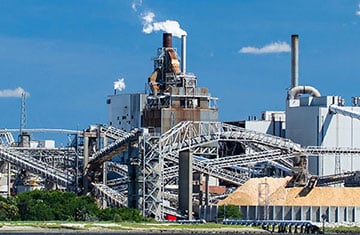 Pulp Papermill