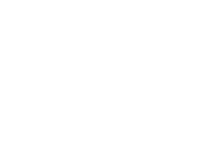 a white logo of a bull inside a hex nut