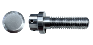 a picture of a 12 point flange screw 316 stainless material