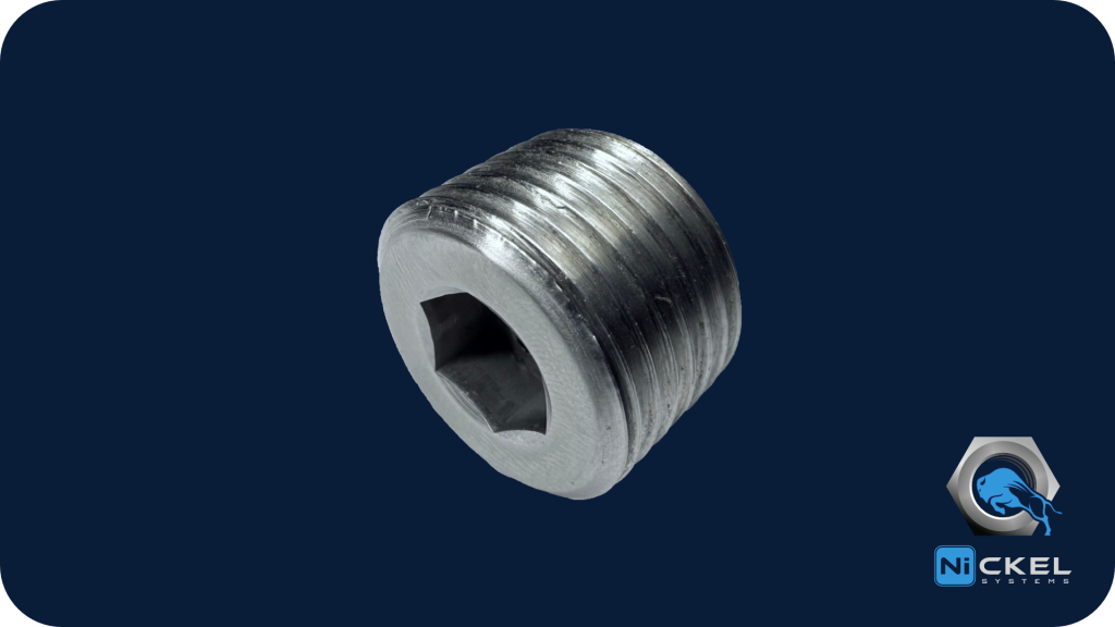 a picture of a hex socket pipe plug in 2507 super duplex material