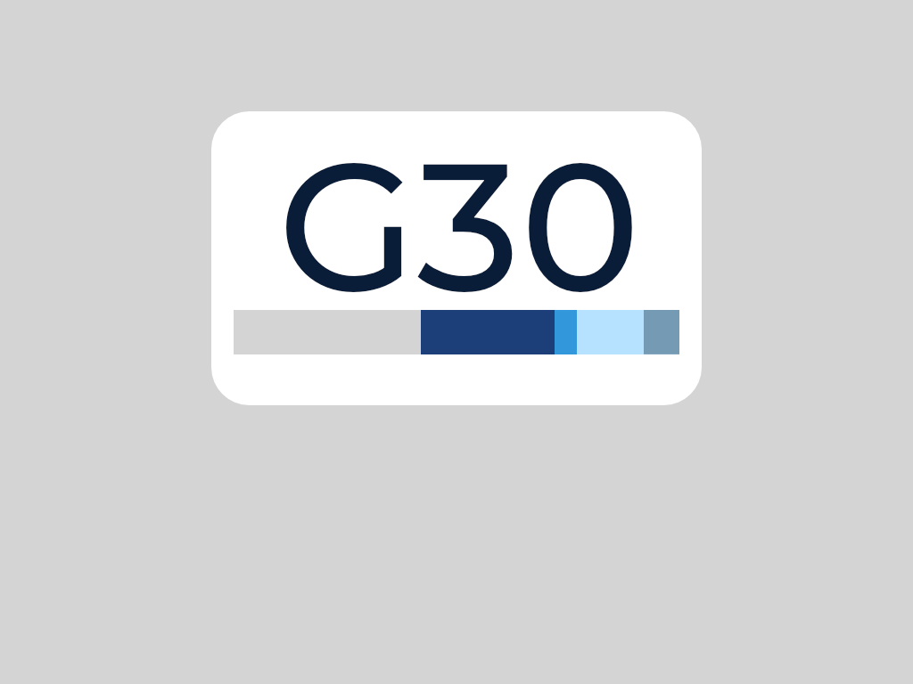 a picture of the chemical composition of hastelloy g30